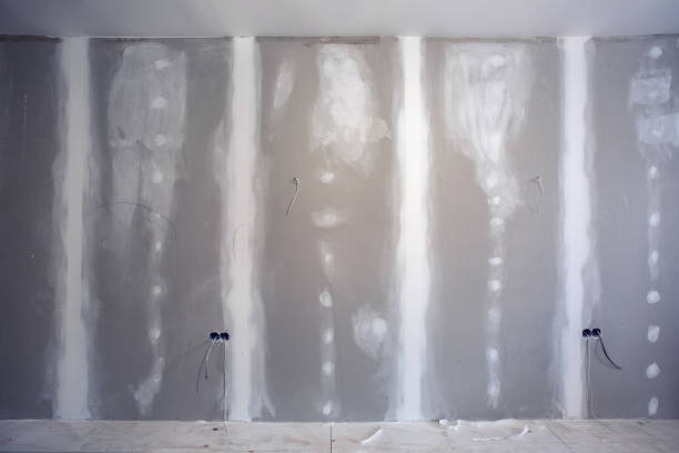 Best HVAC Mold Inspection and Cleaning  in Budd Lake, NJ